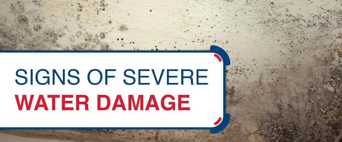 Signs of Water Damage in Your Home: Early Detection Guide